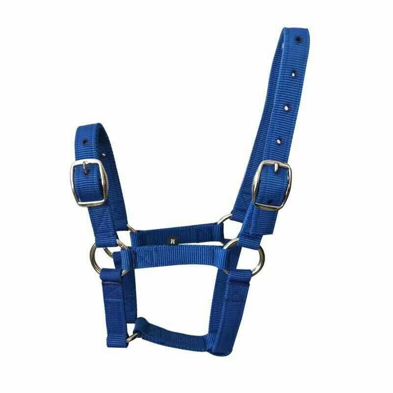 NORMAL BLUE S (1 METRE)